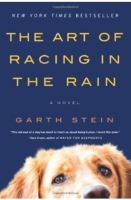 The Art of Racing in the Rain