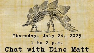 Chat with Dino Matt