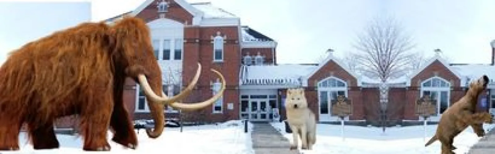 The burton library in the snow with a mastodon, a white dire wolf and a ground sloth in front of it